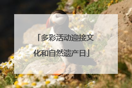 多彩活动迎接文化和自然遗产日